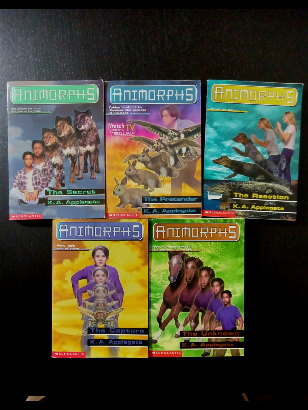 90's Animorphs Kids Book Lot